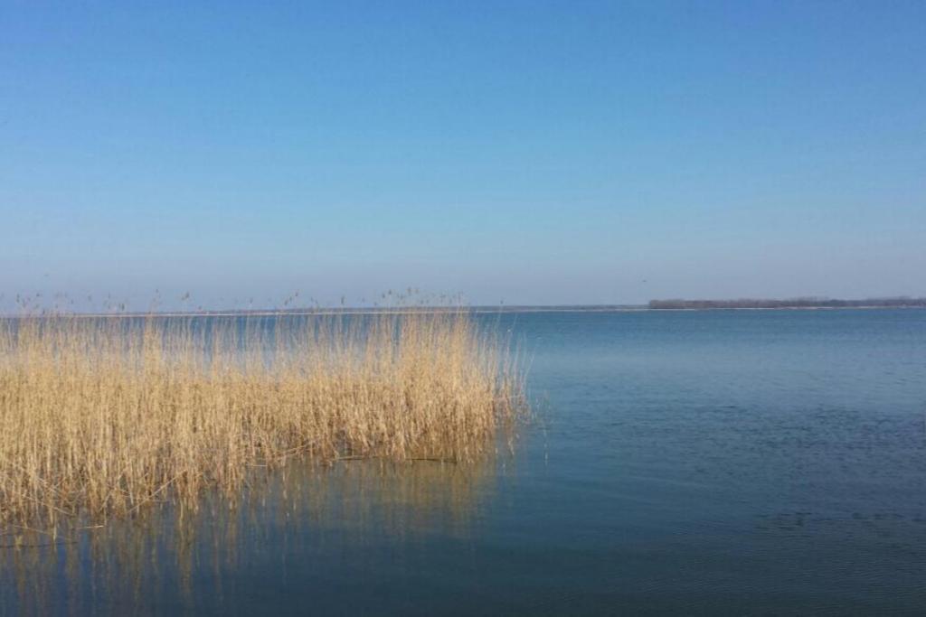 Ferienwohnung De Windroos Born Zewnętrze zdjęcie